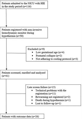 Time series analysis of non-invasive hemodynamic monitoring data in neonates with hypoxic-ischemic encephalopathy